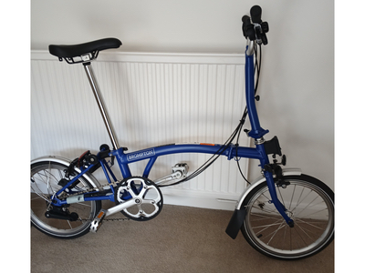 David and Fiona Lewis